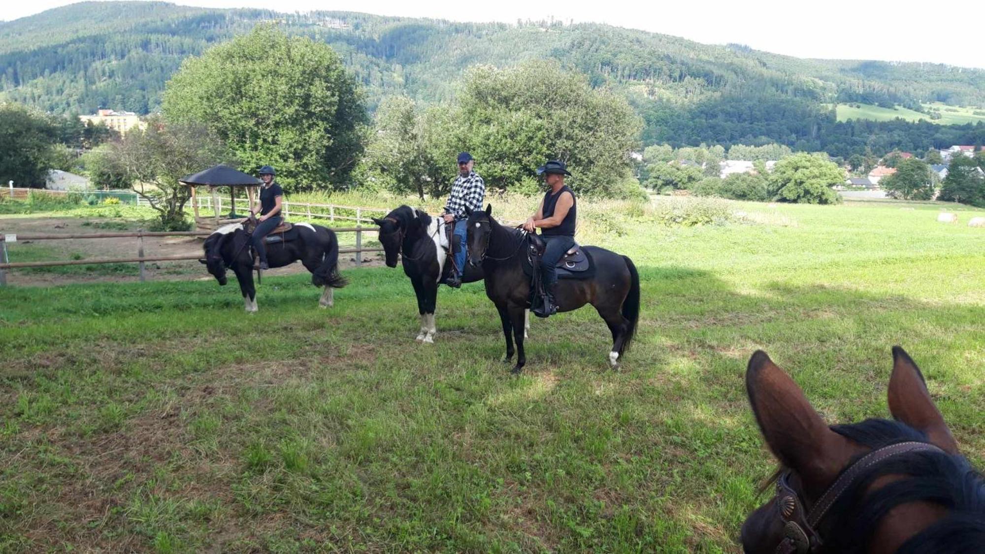 Penzion U Hradilu Vrbno pod Pradědem Zewnętrze zdjęcie